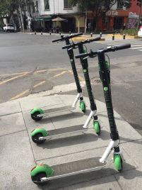 You can rent scooters!! These are adult size too!
