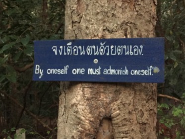all around the temple grounds were teaching posted to trees