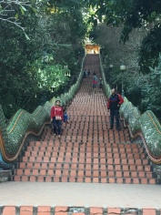 dang stairs