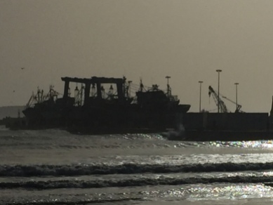 boats in Essaouira