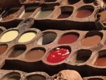 dyes in the tannery