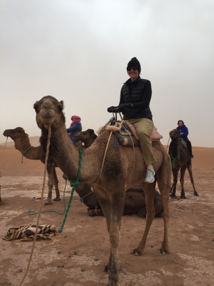 riding a camel in the Sahara …..done!