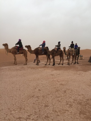 our camel caravan