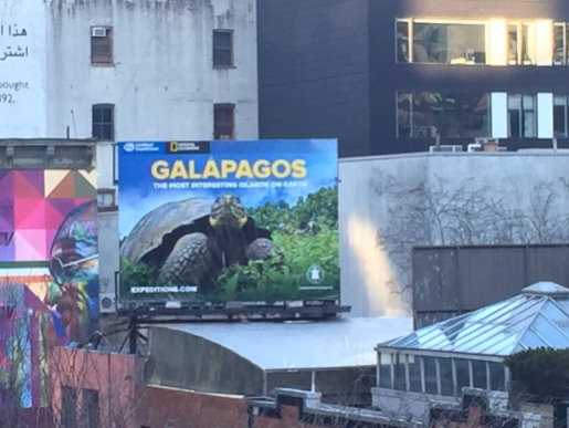 Galapagos!!